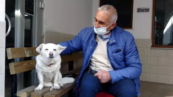 Dünya basınına manşet olan köpek, Trabzon'un 'Hachiko'su oldu Dünya basınına manşet olan köpek, Trabzon'un 'Hachiko'su oldu