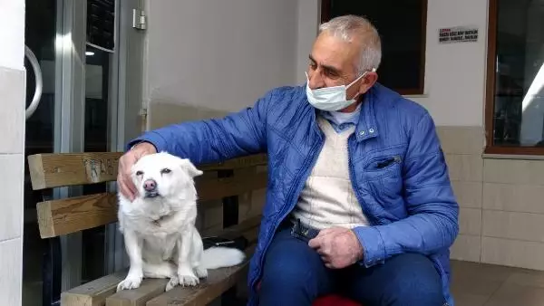 Dünya basınına manşet olan köpek, Trabzon'un 'Hachiko'su oldu Dünya basınına manşet olan köpek, Trabzon'un 'Hachiko'su oldu