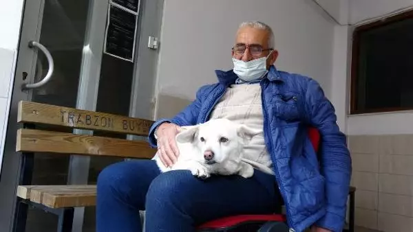 Dünya basınına manşet olan köpek, Trabzon'un 'Hachiko'su oldu Dünya basınına manşet olan köpek, Trabzon'un 'Hachiko'su oldu