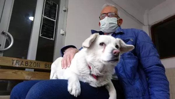 Dünya basınına manşet olan köpek, Trabzon'un 'Hachiko'su oldu Dünya basınına manşet olan köpek, Trabzon'un 'Hachiko'su oldu