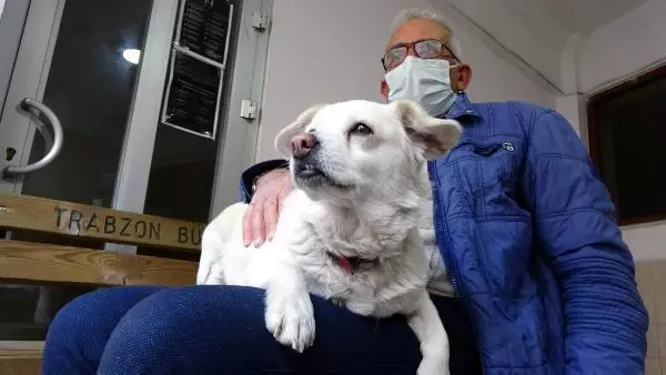 Dünya basınına manşet olan köpek, Trabzon'un 'Hachiko'su oldu Dünya basınına manşet olan köpek, Trabzon'un 'Hachiko'su oldu