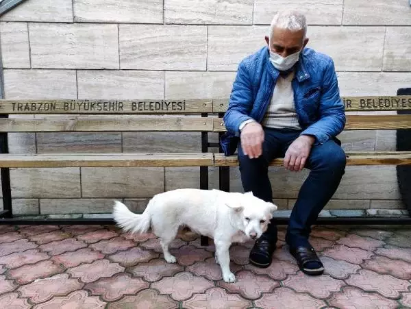 Dünya basınına manşet olan köpek, Trabzon'un 'Hachiko'su oldu Dünya basınına manşet olan köpek, Trabzon'un 'Hachiko'su oldu