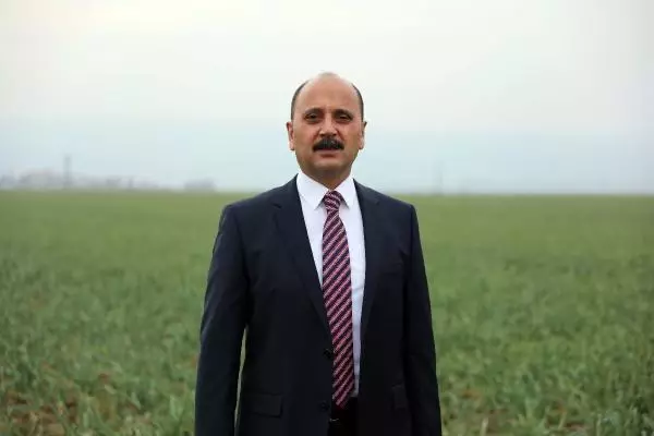 Gaziantep, sarımsağı ile de ön plana çıkacak Gaziantep, sarımsağı ile de ön plana çıkacak