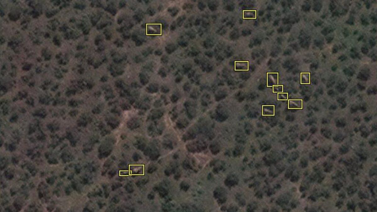 Uydudan çekilen fotoğraflardan Afrika fillerini saydılar