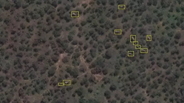 Uydudan çekilen fotoğraflardan Afrika fillerini saydılar Uydudan çekilen fotoğraflardan Afrika fillerini saydılar