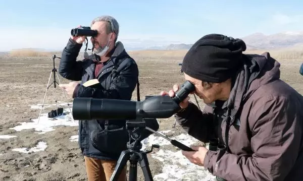 Göller Bölgesi'nde su kuşu sayımı başladı Göller Bölgesi'nde su kuşu sayımı başladı