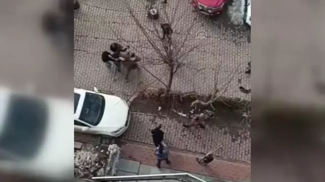 İki aile arasındaki taşlı sopalı kavga İki aile arasındaki taşlı sopalı kavga