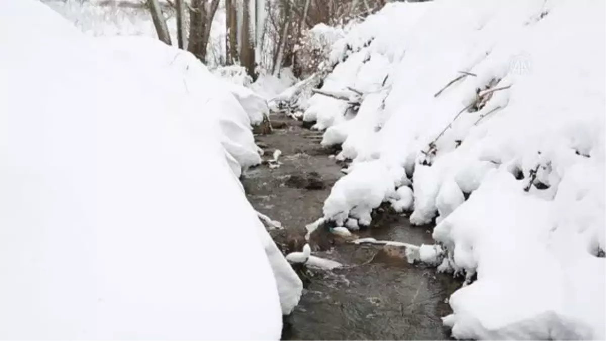 Irak'ta kar yağışı
