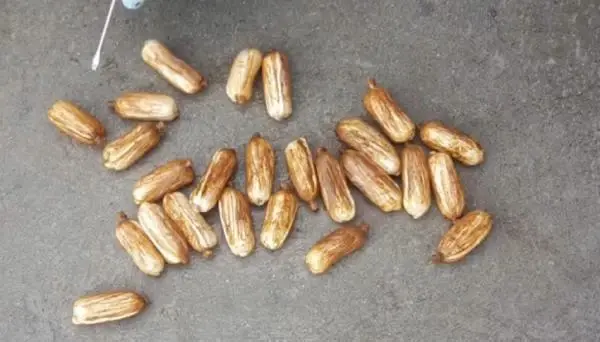 İranlı yolcuların midesinden 871 gram metamfetamin çıktı İranlı yolcuların midesinden 871 gram metamfetamin çıktı