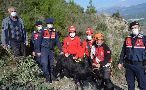 Kayalıkta mahsur kalan 3 keçiyi jandarma kurtardı Kayalıkta mahsur kalan 3 keçiyi jandarma kurtardı