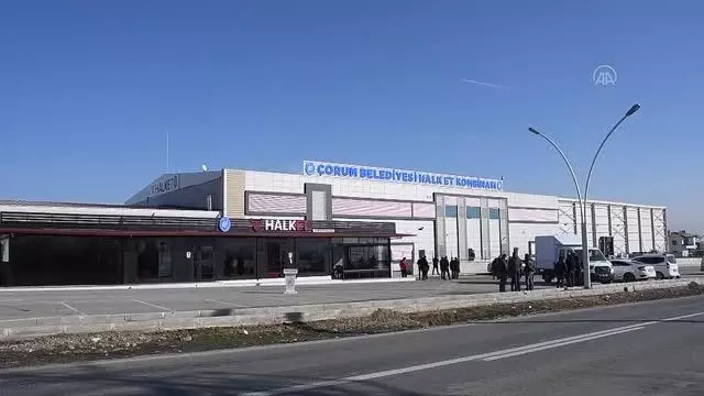 Mezbahanın hayvansal atıkları sokak hayvanlarına mama olacak Mezbahanın hayvansal atıkları sokak hayvanlarına mama olacak