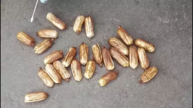 Midesinde uyuşturucu taşıyan 3 İranlı yakalandı Midesinde uyuşturucu taşıyan 3 İranlı yakalandı
