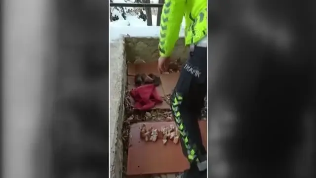 Son dakika haber! Polis memurunun yavru köpek hassasiyeti yürekleri ısıttı Son dakika haber! Polis memurunun yavru köpek hassasiyeti yürekleri ısıttı