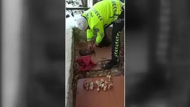 Son dakika haber! Polis memurunun yavru köpek hassasiyeti yürekleri ısıttı Son dakika haber! Polis memurunun yavru köpek hassasiyeti yürekleri ısıttı