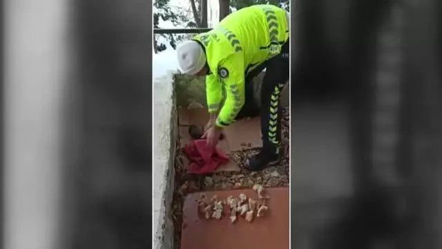 Son dakika haber! Polis memurunun yavru köpek hassasiyeti yürekleri ısıttı Son dakika haber! Polis memurunun yavru köpek hassasiyeti yürekleri ısıttı