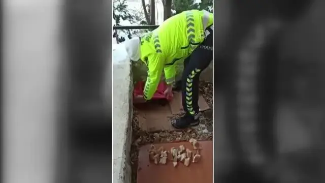 Son dakika haber! Polis memurunun yavru köpek hassasiyeti yürekleri ısıttı Son dakika haber! Polis memurunun yavru köpek hassasiyeti yürekleri ısıttı
