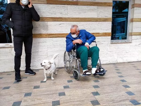 Dünya basınına manşet olan köpek, Trabzon'un 'Hachiko'su oldu Dünya basınına manşet olan köpek, Trabzon'un 'Hachiko'su oldu