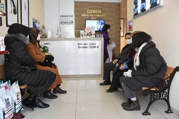 Sivas'ta kedi besleyenler ve beslemeyenlerde 'kör eden parazit' araştırması Sivas'ta kedi besleyenler ve beslemeyenlerde 'kör eden parazit' araştırması