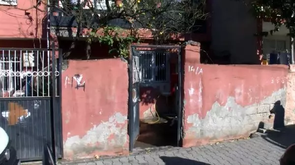 Sokak satıcıları kadının altın küpe ve 350 lirasını alıp, el sallayarak kaçtı Sokak satıcıları kadının altın küpe ve 350 lirasını alıp, el sallayarak kaçtı