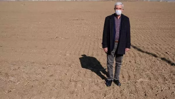 Son yağışlar, Konya Ovası'nda çiftçiye 'can suyu' oldu Son yağışlar, Konya Ovası'nda çiftçiye 'can suyu' oldu