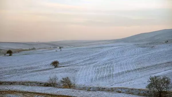 Son yağışlar, Konya Ovası'nda çiftçiye 'can suyu' oldu Son yağışlar, Konya Ovası'nda çiftçiye 'can suyu' oldu