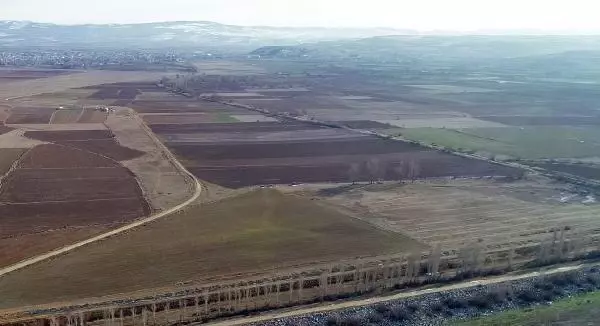 Son yağışlar, Konya Ovası'nda çiftçiye 'can suyu' oldu Son yağışlar, Konya Ovası'nda çiftçiye 'can suyu' oldu