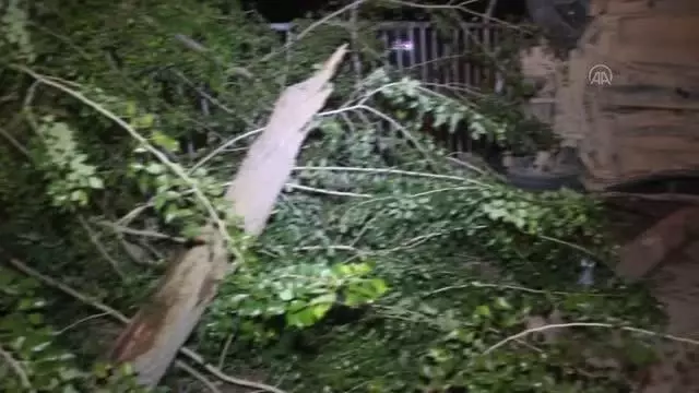 Trafik kazasında 3 kişi yaralandı Trafik kazasında 3 kişi yaralandı