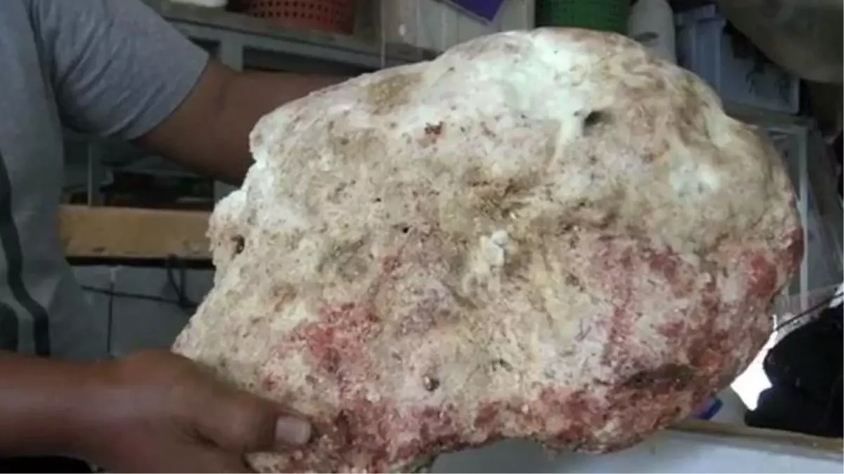 Yerde bulduğu kaya parçası sayesinde 2 milyonluk servete kondu