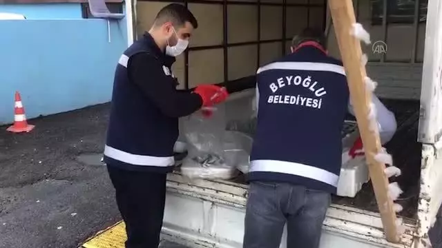 Beyoğlu Belediyesi Sosyal Market 2,5 ton hamsi dağıttı Beyoğlu Belediyesi Sosyal Market 2,5 ton hamsi dağıttı