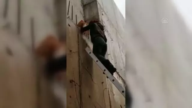 Son dakika haberi! Bodrum'da vücuduna demir çubuk saplanan kedi kurtarıldı Son dakika haberi! Bodrum'da vücuduna demir çubuk saplanan kedi kurtarıldı