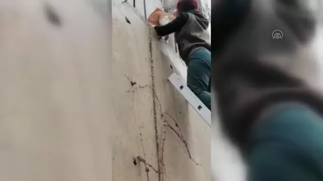 Son dakika haberi! Bodrum'da vücuduna demir çubuk saplanan kedi kurtarıldı Son dakika haberi! Bodrum'da vücuduna demir çubuk saplanan kedi kurtarıldı
