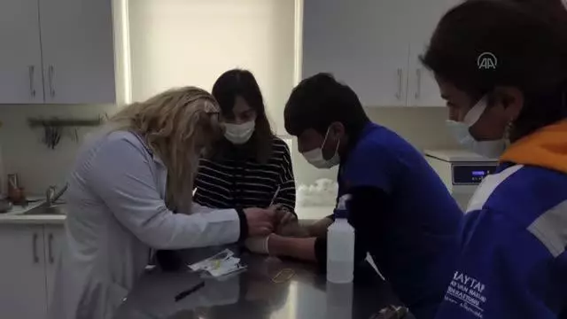 Bulgaristan'dan kaçak yollarla Türkiye'ye getirilen 7 köpek yavrusundan 4'ü kuvöze alındı Bulgaristan'dan kaçak yollarla Türkiye'ye getirilen 7 köpek yavrusundan 4'ü kuvöze alındı