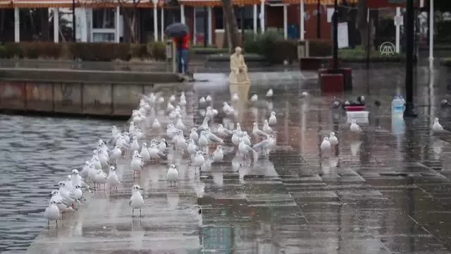 Son dakika haberleri... (Drone) Cadde ve sokaklarda sessizlik hakim Son dakika haberleri... (Drone) Cadde ve sokaklarda sessizlik hakim