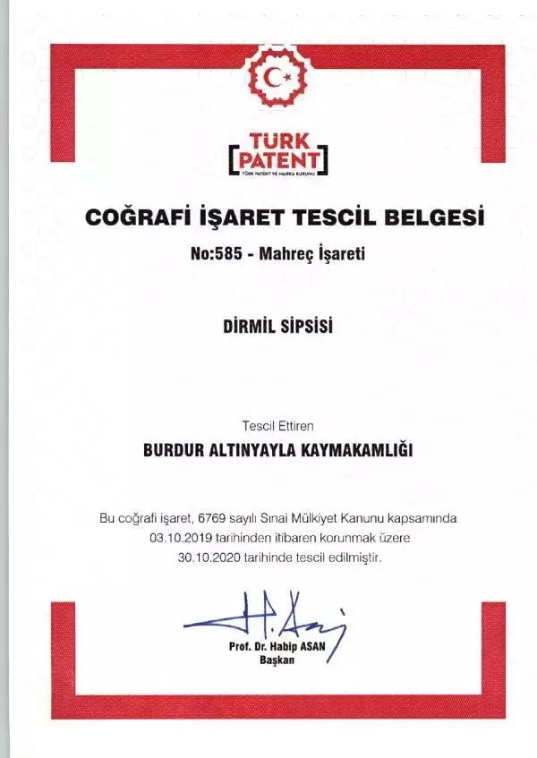 Dirmil sipsisi tescillendi Dirmil sipsisi tescillendi