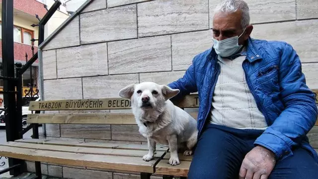 Boncuk, D�nya bas�n�nda man�etleri s�sledi!