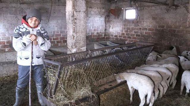 Hem okuyup hem çobanlık yapan Şevki, sosyal medyada fenomen oldu