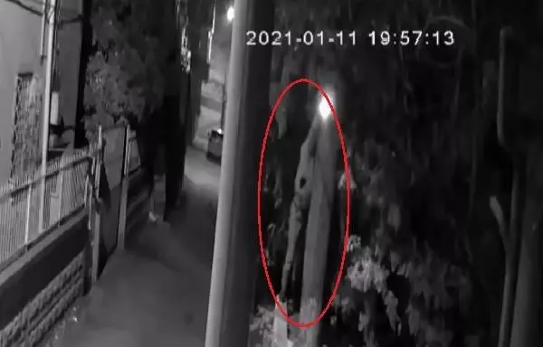 Hırsız, çaldığı güvenlik kamerasına yakalandı Hırsız, çaldığı güvenlik kamerasına yakalandı
