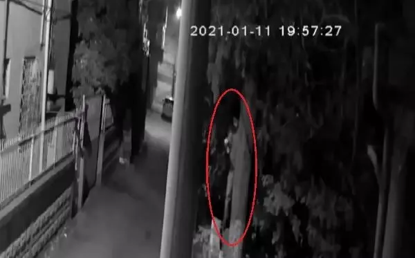 Hırsız, çaldığı güvenlik kamerasına yakalandı Hırsız, çaldığı güvenlik kamerasına yakalandı