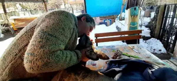 Köpeklerin saldırısıyla yaralanan karacaya suni teneffüs yaptı Köpeklerin saldırısıyla yaralanan karacaya suni teneffüs yaptı