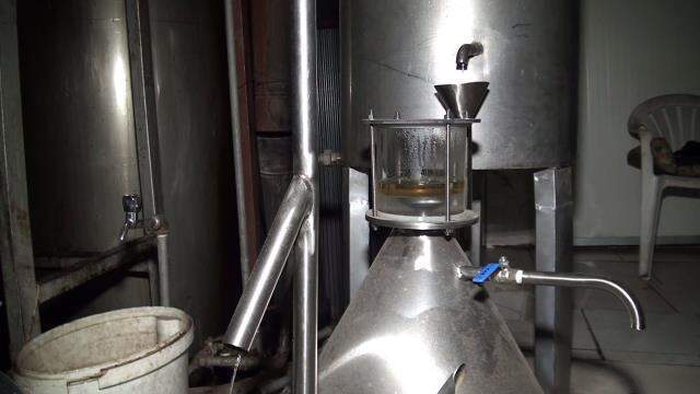 Köylünün yeni geçim kaynağı yaban mersini yağı! 10 gramı 25 liradan satılıyor