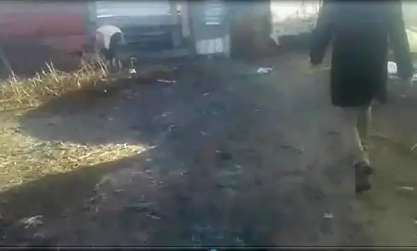 Son dakika haberi! Kümesine giren tilkiye 'Ciğerine ateş düşmesin senin' diye seslendi Son dakika haberi! Kümesine giren tilkiye 'Ciğerine ateş düşmesin senin' diye seslendi