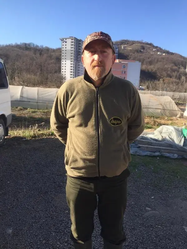 Ordu'da mahalleye inen 12 yaban domuzu avlandı Ordu'da mahalleye inen 12 yaban domuzu avlandı