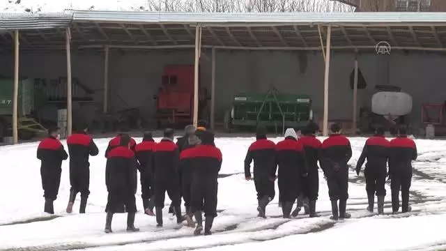 Sığınmacılar tarım ve hayvancılığı öğreniyor Sığınmacılar tarım ve hayvancılığı öğreniyor