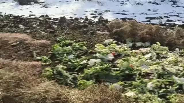 Yaban hayvanları için doğaya 1,5 ton yem bırakıldı Yaban hayvanları için doğaya 1,5 ton yem bırakıldı