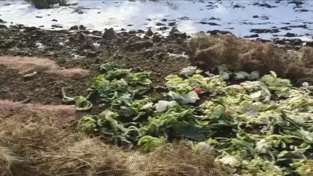 Yaban hayvanları için doğaya 1,5 ton yem bırakıldı Yaban hayvanları için doğaya 1,5 ton yem bırakıldı