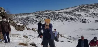 Yaban hayvanları için Süphan Dağı eteklerine yem bırakılar