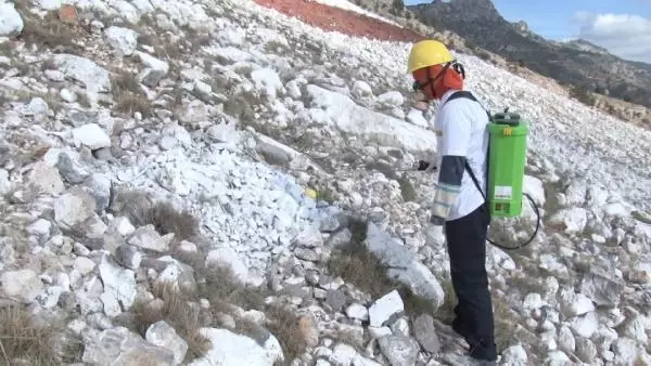 Son dakika haberi: Beşparmak'ta KKTC bayrağının boyanması, Rumları kızdırdı Son dakika haberi: Beşparmak'ta KKTC bayrağının boyanması, Rumları kızdırdı