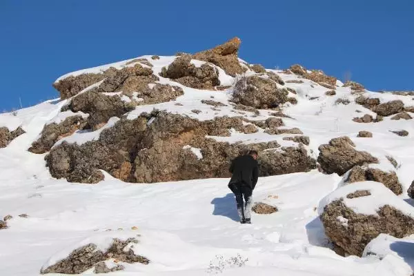 Bingöl'de, yaban hayvanları için askıda ekmek Bingöl'de, yaban hayvanları için askıda ekmek