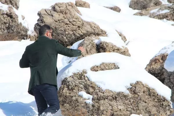 Bingöl'de, yaban hayvanları için askıda ekmek Bingöl'de, yaban hayvanları için askıda ekmek