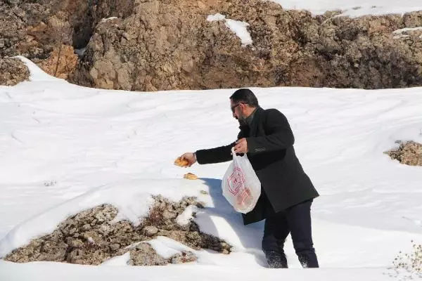 Bingöl'de, yaban hayvanları için askıda ekmek Bingöl'de, yaban hayvanları için askıda ekmek